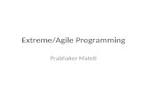 Extreme/Agile Programming