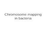 Chromosome mapping in bacteria