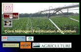 Corn Nitrogen Fertilization Algorithm