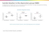 Suicide Ideation in the depression group (NBB)