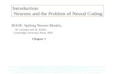 Introduction:  Neurons and the Problem of Neural Coding