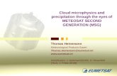 Cloud microphysics and precipitation through the eyes of METEOSAT SECOND GENERATION (MSG)