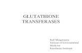 GLUTATHIONE TRANSFERASES