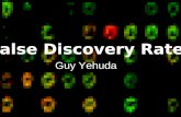 False Discovery Rate Guy Yehuda