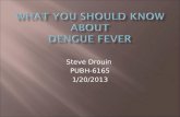 What you should know about  Dengue Fever