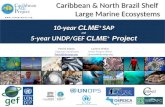 Caribbean  & North Brazil Shelf  Large  Marine  Ecosystems 10-year  CLME +  SAP and