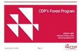 CDP’s Forest  Program