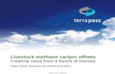 Livestock methane carbon offsets