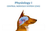CENTRAL NERVOUS SYSTEM (CNS)
