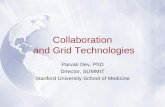 Collaboration  and Grid Technologies