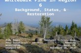 Whitebark Pine in Region 6 Background, Status, & Restoration