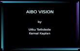 AIBO VISION