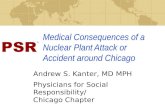 Medical Consequences of a Nuclear Plant Attack or  Accident around Chicago