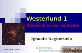 Westerlund 1