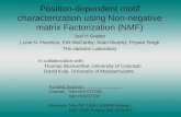 Position-dependent motif characterization using Non-negative matrix Factorization (NMF)