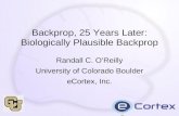 Backprop, 25 Years Later: Biologically Plausible Backprop