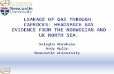 LEAKAGE OF GAS THROUGH  CAPROCKS: HEADSPACE GAS EVIDENCE FROM THE NORWEGIAN AND UK NORTH SEA.