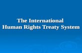 The International  Human Rights Treaty System