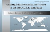 Adding Mathematica Software to an ORACLE database Roberto Terenzi  CNR-IFSI & INFN CERN