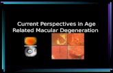 Current Perspectives in Age Related Macular Degeneration