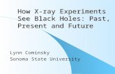 How X-ray Experiments See Black Holes: Past, Present and Future