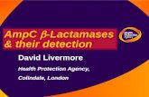 AmpC  b -Lactamases & their detection