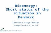 Bioenergy:  Short status of the situation in Denmark