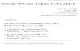 Recent Physics Topics from ZEUS
