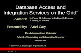 Database Access and Integration Services on the Grid *