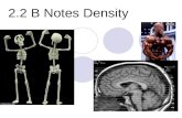 2.2 B Notes Density