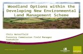 Woodland Options within the Developing New Environmental Land Management Scheme