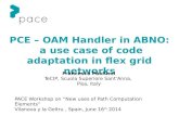 PCE – OAM Handler in ABNO:  a use case of code adaptation in flex grid networks