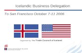 Icelandic Business Delegation