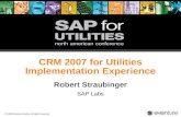 CRM 2007 for Utilities Implementation Experience