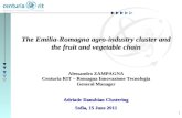 The Emilia-Romagna agro-industry cluster and the  fruit and vegetable chain Alessandro ZAMPAGNA