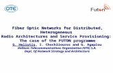 Fiber Optic Networks for Distributed, Heterogeneous