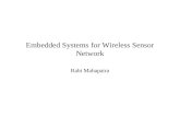 Embedded Systems for Wireless Sensor Network