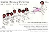 Steered Molecular Dynamics  Introduction and Examples