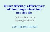 Quantifying efficiency of homogenisation methods