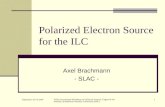 Polarized Electron Source for the ILC