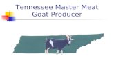 Tennessee Master Meat Goat Producer