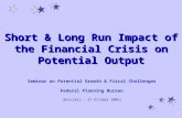 Short & Long Run Impact of the Financial Crisis on Potential Output