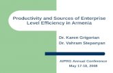 Productivity and Sources of Enterprise Level Efficiency in Armenia