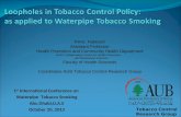 Loopholes in Tobacco Control Policy:  as applied to  Waterpipe  Tobacco Smoking