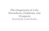 The (Supertree) of Life: Procedures, Problems, and Prospects