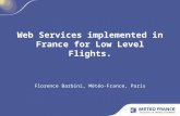 Web Services implemented in France for Low Level Flights.