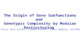 The Origin of Gene Subfunctions and  Genotypic Complexity by Modular Restructuring
