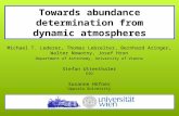 Towards abundance determination from dynamic atmospheres
