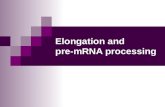 Elongation and  pre-mRNA processing