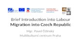 Brief Introduction into Labo u r  Migration into Czech Republic
